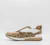 Michael Kors Allie Stride Trainer , Beige, Heren online kopen